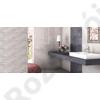 S. Ceramica Zoo Gris 20x60 csempe